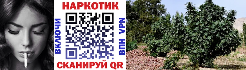 Купить наркотики цена Болотное МАРИХУАНА Кокаин omg Мефедрон Гашиш APVP