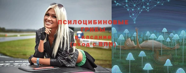 шишки Горнозаводск