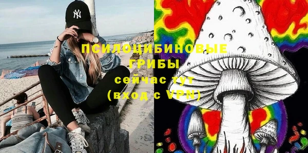 шишки Горнозаводск