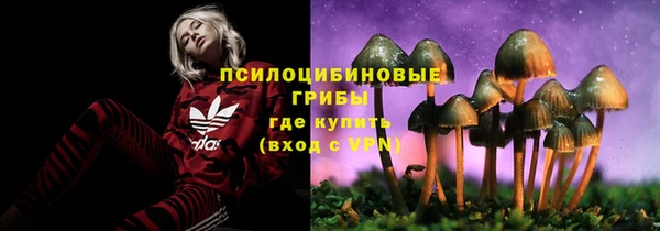 apvp Горняк