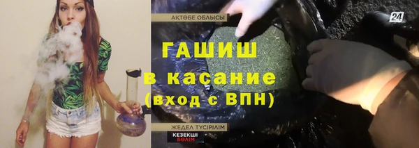 сатива Гусев