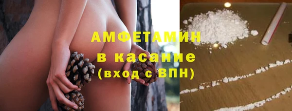 сатива Гусев