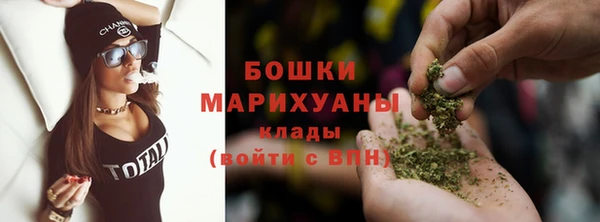 apvp Горняк
