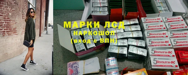apvp Горняк