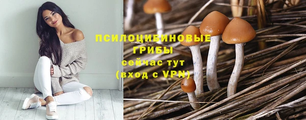 стаф Горно-Алтайск