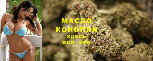 шишки Горнозаводск