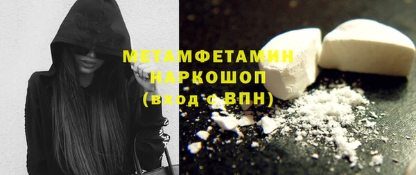 шишки Горнозаводск