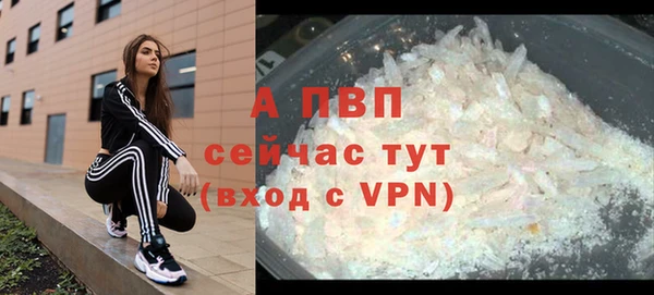 стаф Горно-Алтайск