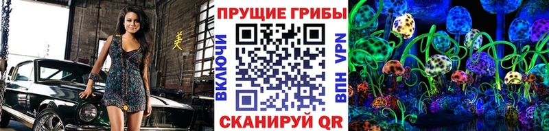 купить закладку  Болотное  Псилоцибиновые грибы Psilocybine cubensis 