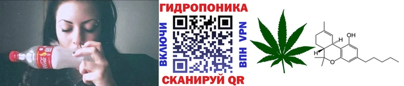 hydra как войти  Болотное  Бошки Шишки индика  цены  